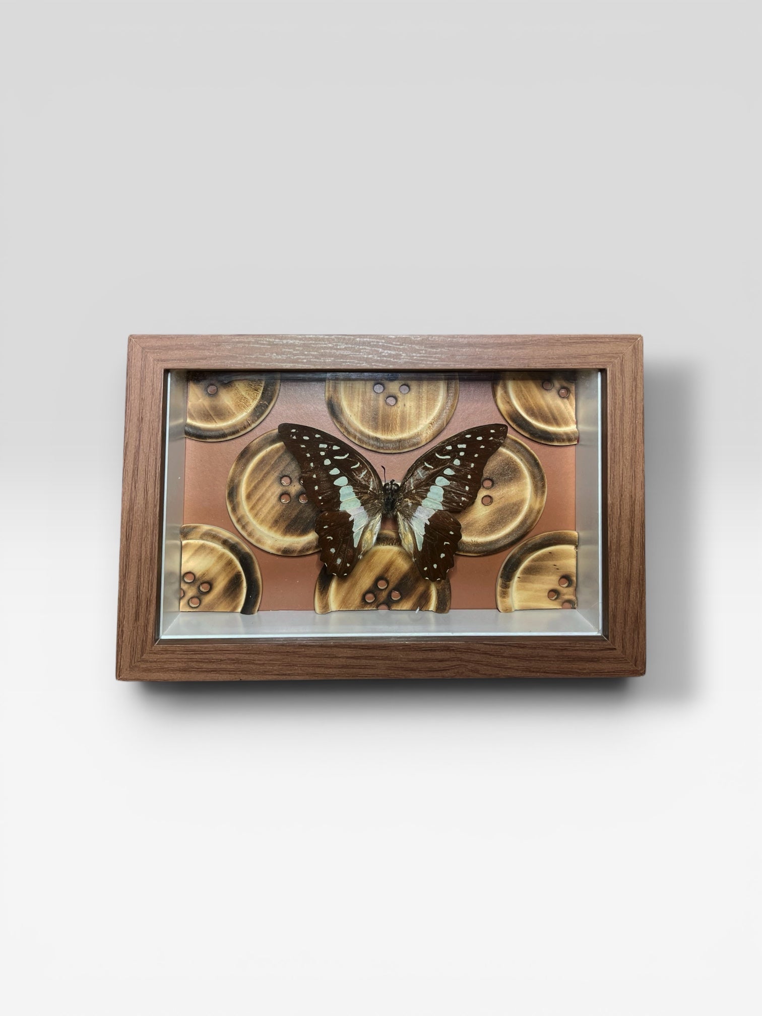 Taxidermy Art